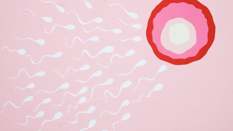 Acupuncture for Fertility: Clinical Evidence and Treatment Protocols