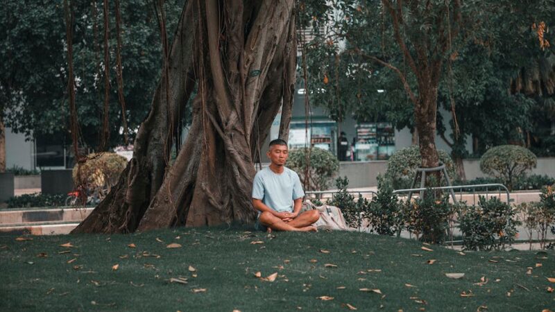 How Mindfulness Meditation Affects Your Immune System