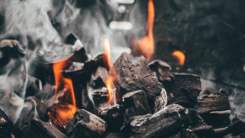 Environmental Toxins and Female Fertility: Exposure Reduction Strategies