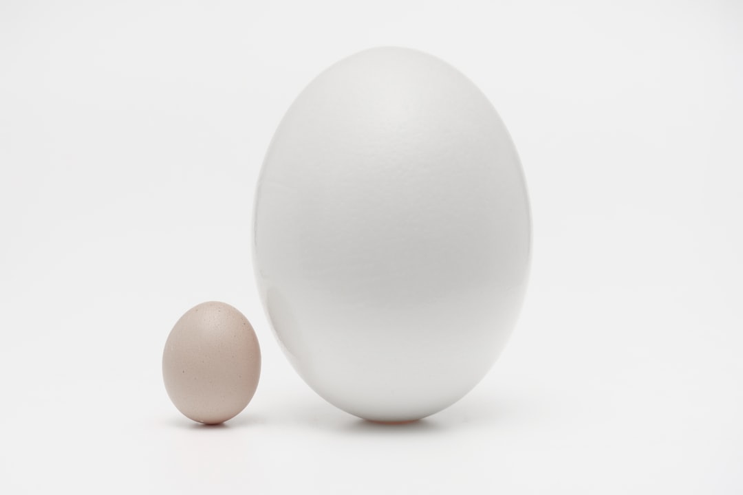 How to Improve Egg Quality: A Nutritional and Lifestyle Approach